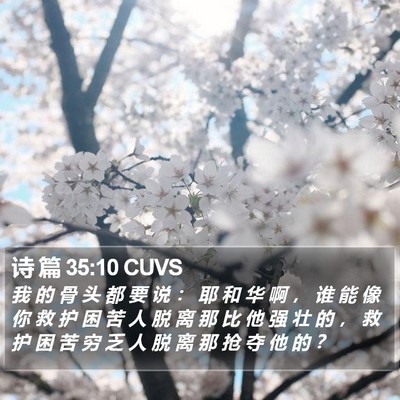 诗 篇 35:10 CUVS Bible Verse Image
