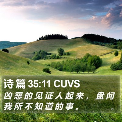 诗 篇 35:11 CUVS Bible Verse Image