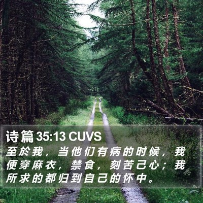 诗 篇 35:13 CUVS Bible Verse Image