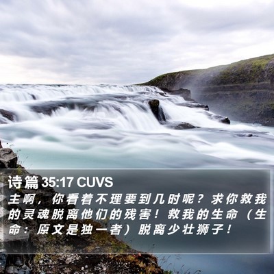 诗 篇 35:17 CUVS Bible Verse Image
