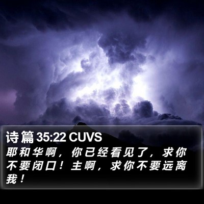 诗 篇 35:22 CUVS Bible Verse Image