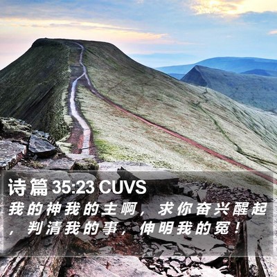诗 篇 35:23 CUVS Bible Verse Image