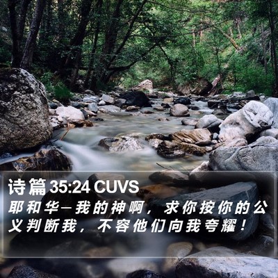 诗 篇 35:24 CUVS Bible Verse Image