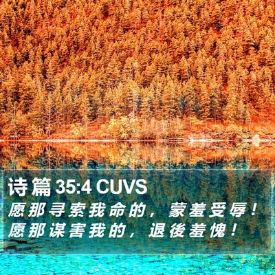 诗 篇 35:4 CUVS Bible Verse Image