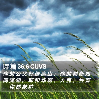 诗 篇 36:6 CUVS Bible Verse Image