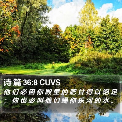 诗 篇 36:8 CUVS Bible Verse Image