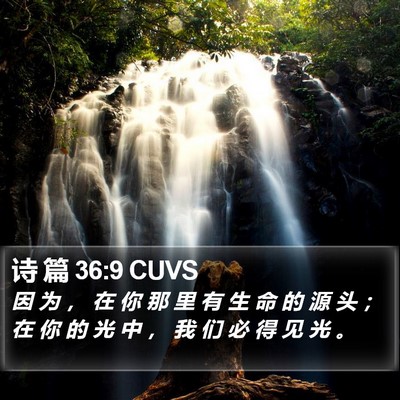 诗 篇 36:9 CUVS Bible Verse Image