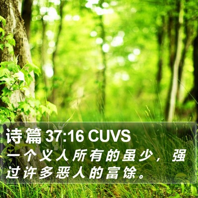 诗 篇 37:16 CUVS Bible Verse Image