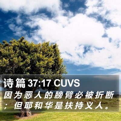 诗 篇 37:17 CUVS Bible Verse Image