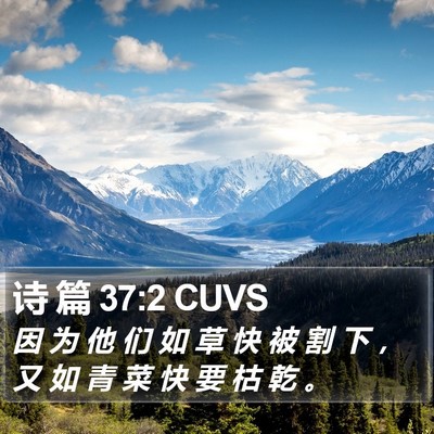 诗 篇 37:2 CUVS Bible Verse Image