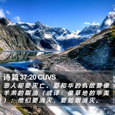 诗 篇 37:20 CUVS Bible Verse Image
