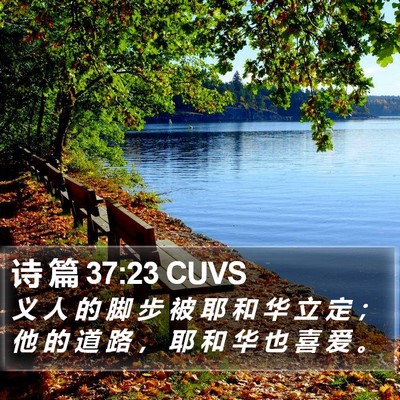 诗 篇 37:23 CUVS Bible Verse Image
