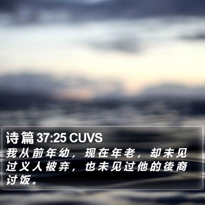 诗 篇 37:25 CUVS Bible Verse Image
