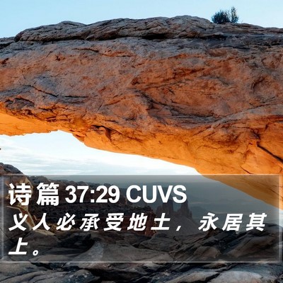 诗 篇 37:29 CUVS Bible Verse Image