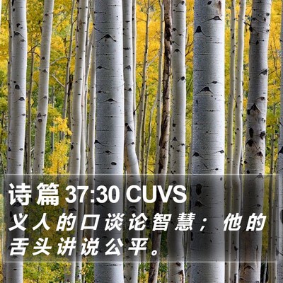 诗 篇 37:30 CUVS Bible Verse Image