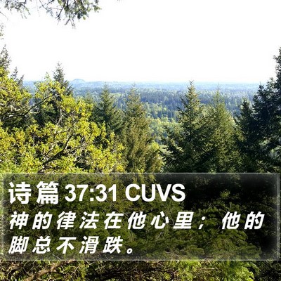 诗 篇 37:31 CUVS Bible Verse Image