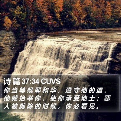 诗 篇 37:34 CUVS Bible Verse Image