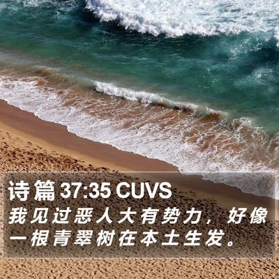 诗 篇 37:35 CUVS Bible Verse Image