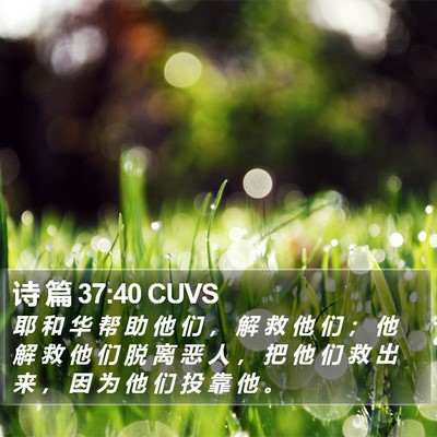 诗 篇 37:40 CUVS Bible Verse Image
