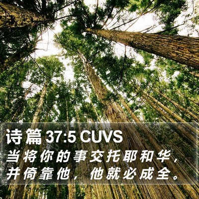 诗 篇 37:5 CUVS Bible Verse Image