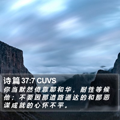 诗 篇 37:7 CUVS Bible Verse Image