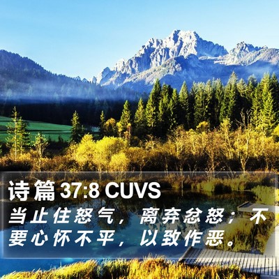诗 篇 37:8 CUVS Bible Verse Image