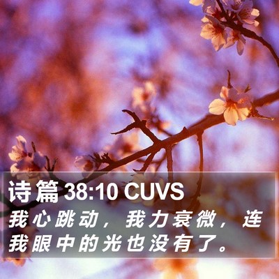 诗 篇 38:10 CUVS Bible Verse Image