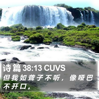 诗 篇 38:13 CUVS Bible Verse Image