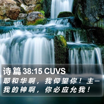 诗 篇 38:15 CUVS Bible Verse Image