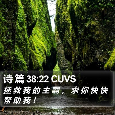 诗 篇 38:22 CUVS Bible Verse Image