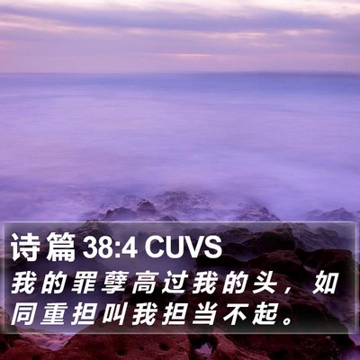 诗 篇 38:4 CUVS Bible Verse Image