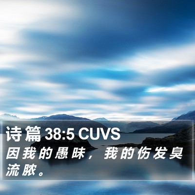 诗 篇 38:5 CUVS Bible Verse Image
