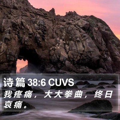 诗 篇 38:6 CUVS Bible Verse Image