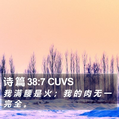 诗 篇 38:7 CUVS Bible Verse Image