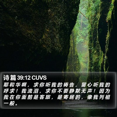 诗 篇 39:12 CUVS Bible Verse Image