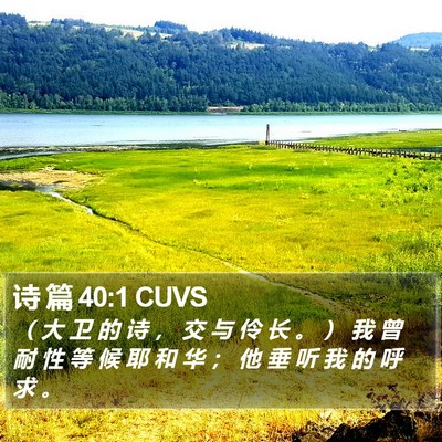 诗 篇 40:1 CUVS Bible Verse Image