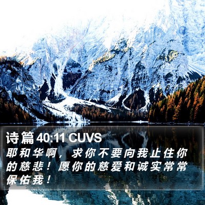 诗 篇 40:11 CUVS Bible Verse Image