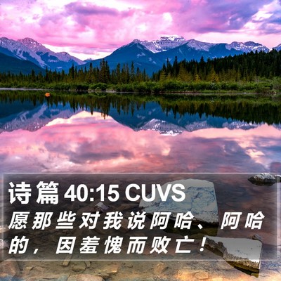 诗 篇 40:15 CUVS Bible Verse Image