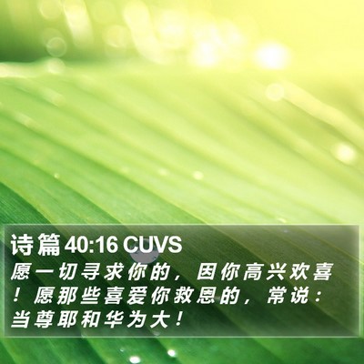 诗 篇 40:16 CUVS Bible Verse Image