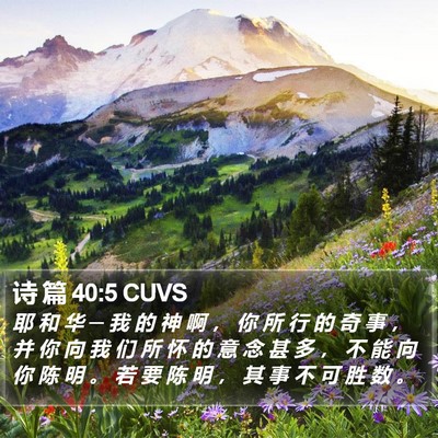 诗 篇 40:5 CUVS Bible Verse Image