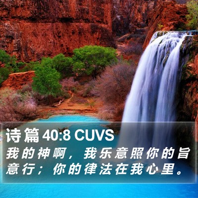 诗 篇 40:8 CUVS Bible Verse Image