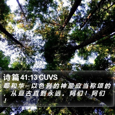 诗 篇 41:13 CUVS Bible Verse Image