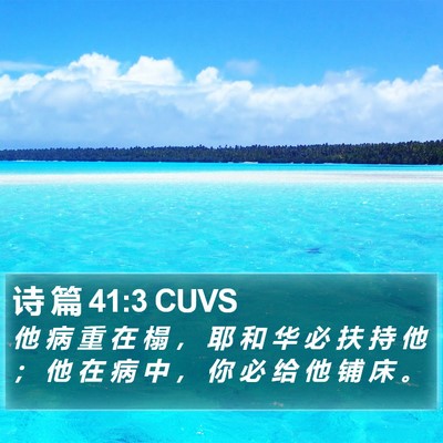 诗 篇 41:3 CUVS Bible Verse Image