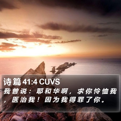 诗 篇 41:4 CUVS Bible Verse Image