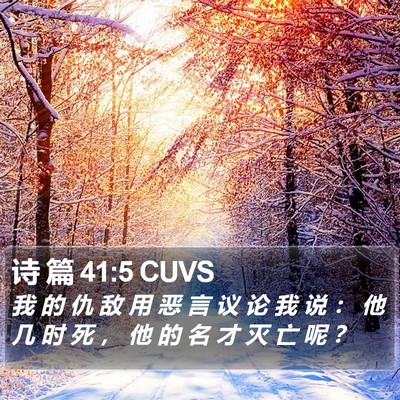 诗 篇 41:5 CUVS Bible Verse Image