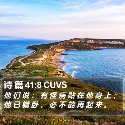 诗 篇 41:8 CUVS Bible Verse Image