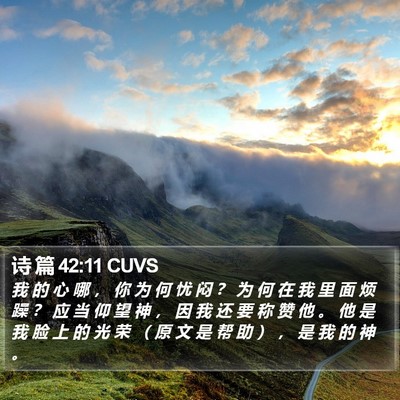 诗 篇 42:11 CUVS Bible Verse Image