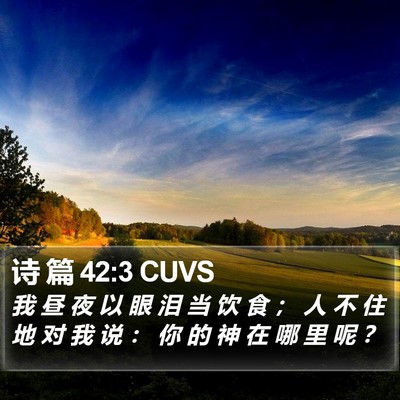 诗 篇 42:3 CUVS Bible Verse Image