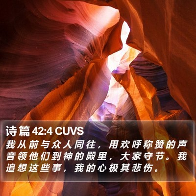 诗 篇 42:4 CUVS Bible Verse Image