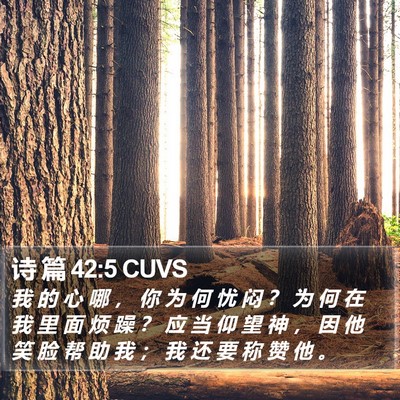 诗 篇 42:5 CUVS Bible Verse Image